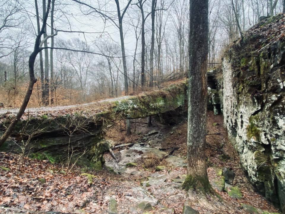 Shawnee National Forest Hiking Trails