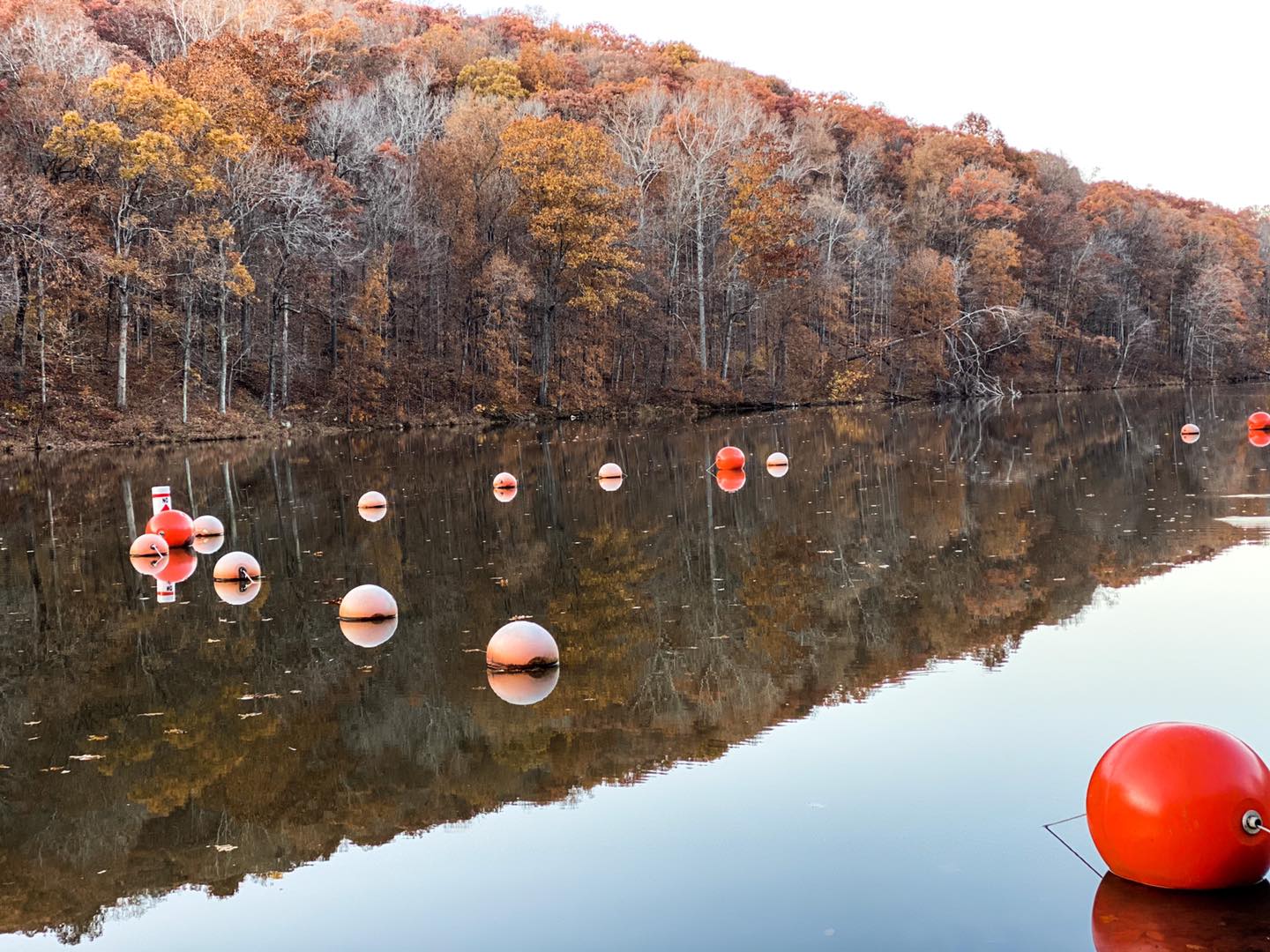 Shawnee National Forest Hiking Trails