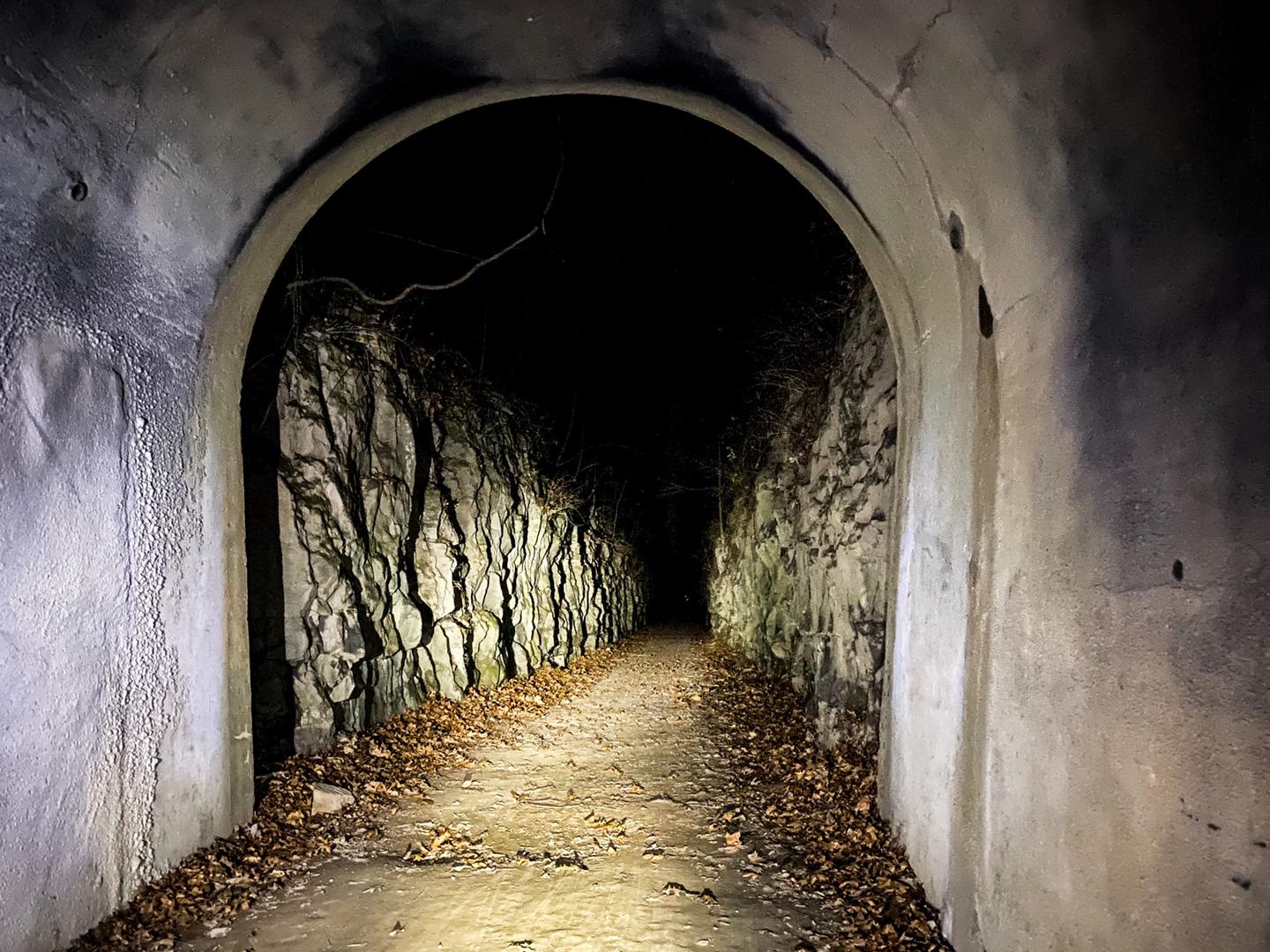 Shawnee National Forest Handicap Accessible Trails 