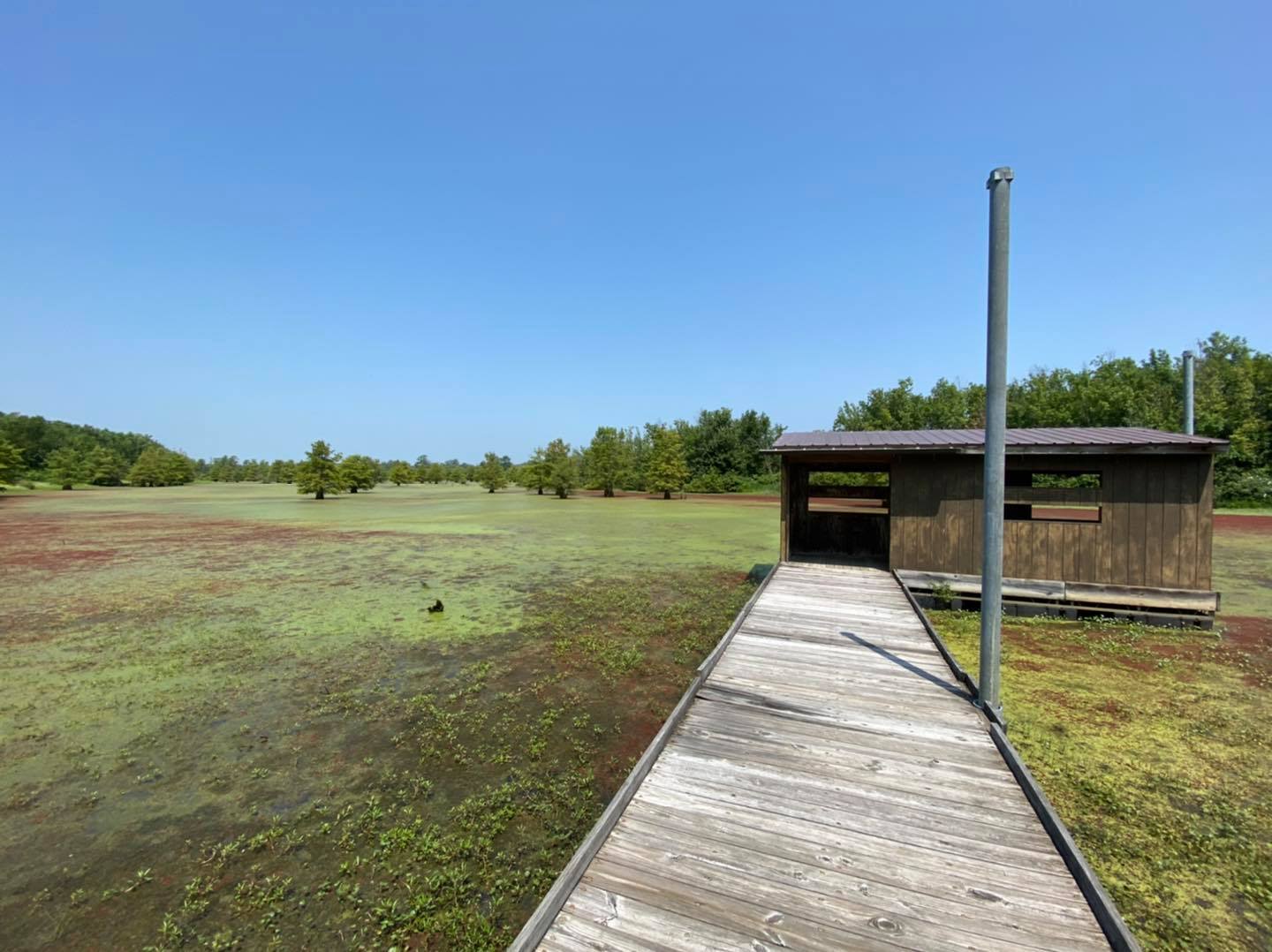 Shawnee National Forest Handicap Wetland Center