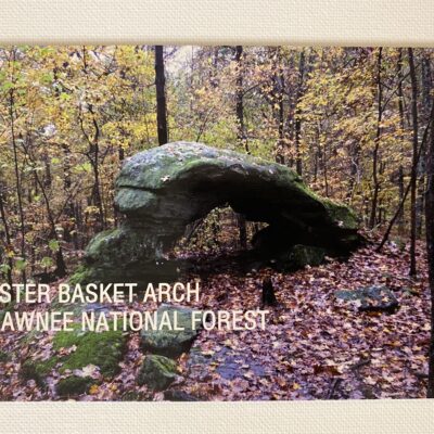 Easter Basket Arch Postcard