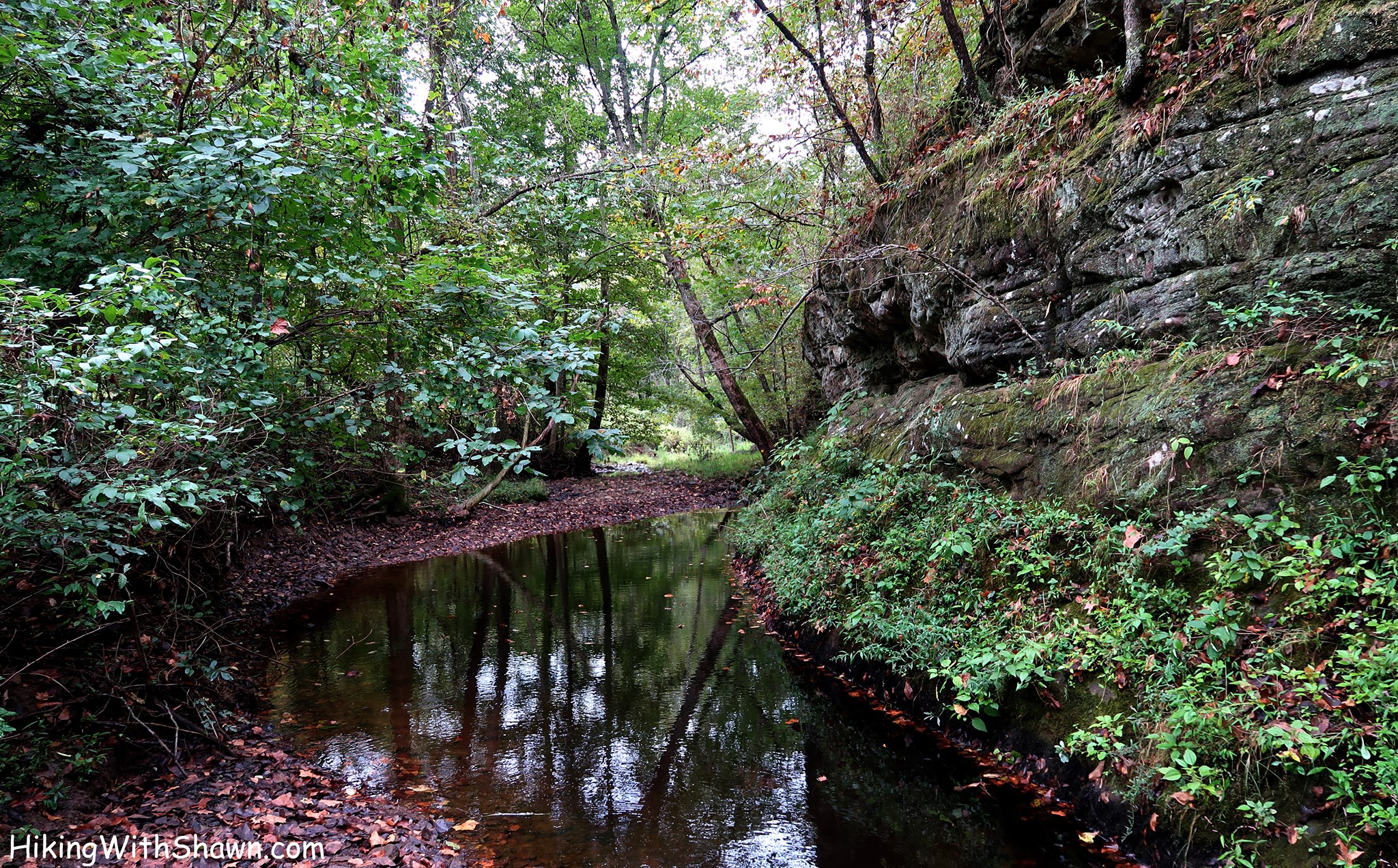 Southern Illinois Hiking Trails Red Cedar Trail