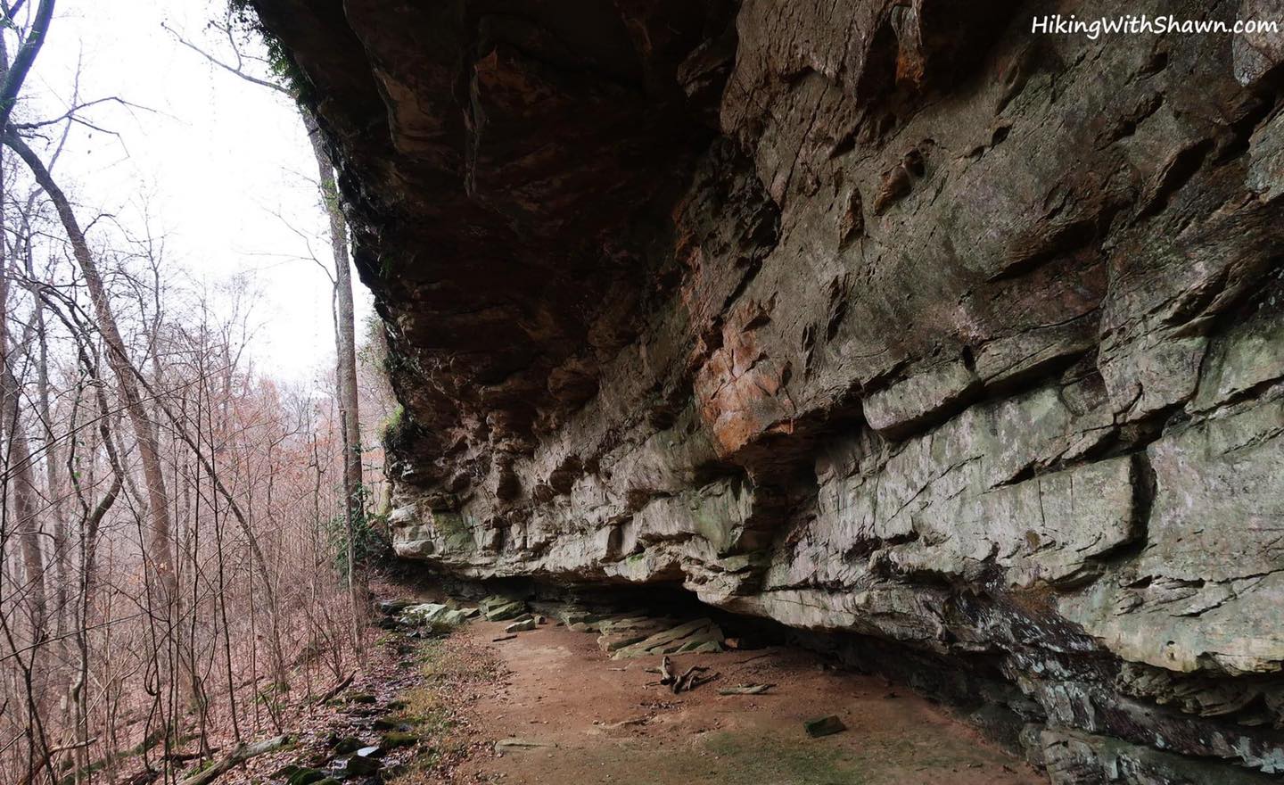 Southern Illinois Hiking Trails: Indian Creek Trail