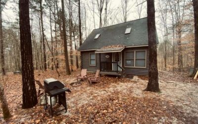 10 Shawnee National Forest Cabins for a Unique Experience