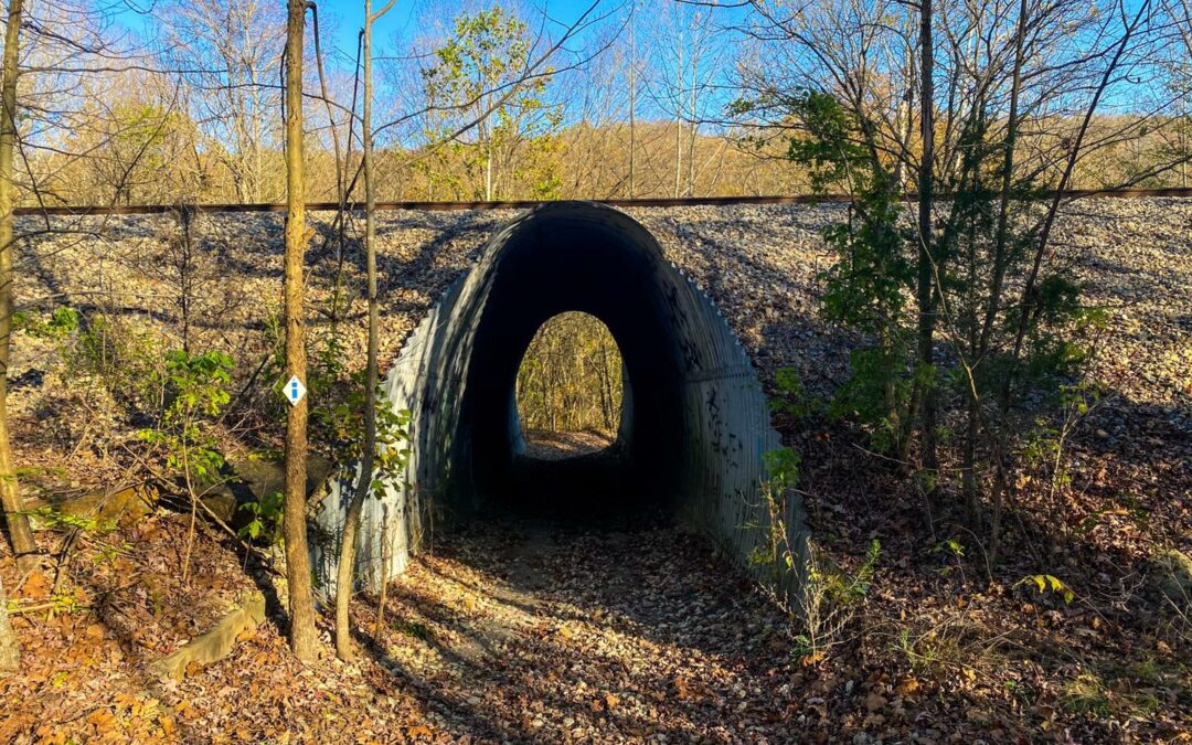 10 Southern Illinois Hiking Trails for Every Type of Hiker