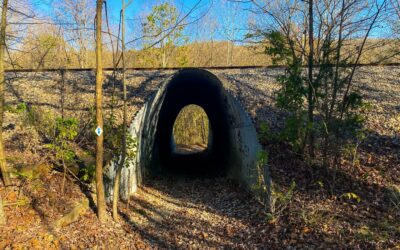 10 Southern Illinois Hiking Trails for Every Type of Hiker