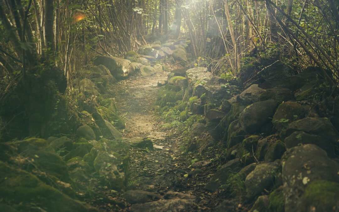 Hiking with Kids