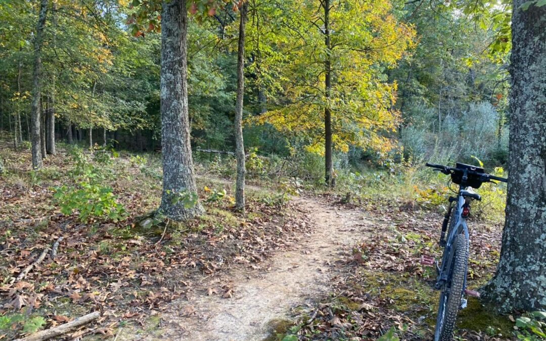 10 Shawnee National Forest Bike Trails & Routes for All Types of Cyclists
