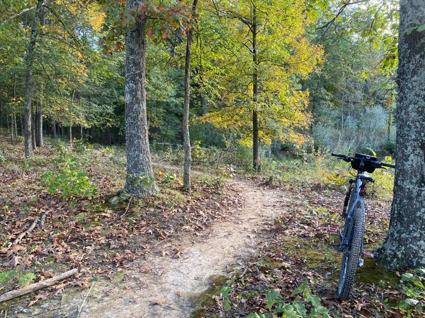 Shawnee National Forest Bike Trails