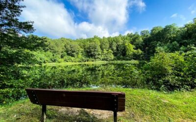 Shawnee National Forest Iron Mountain Hiking Guide