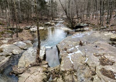 Shawnee National Forest Bear Branch