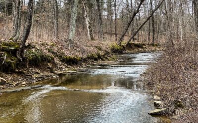 Shawnee National Forest Bear Branch Trail Guide