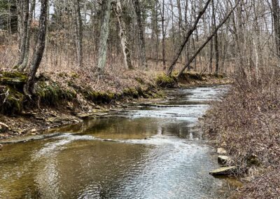 Shawnee National Forest Bear Branch