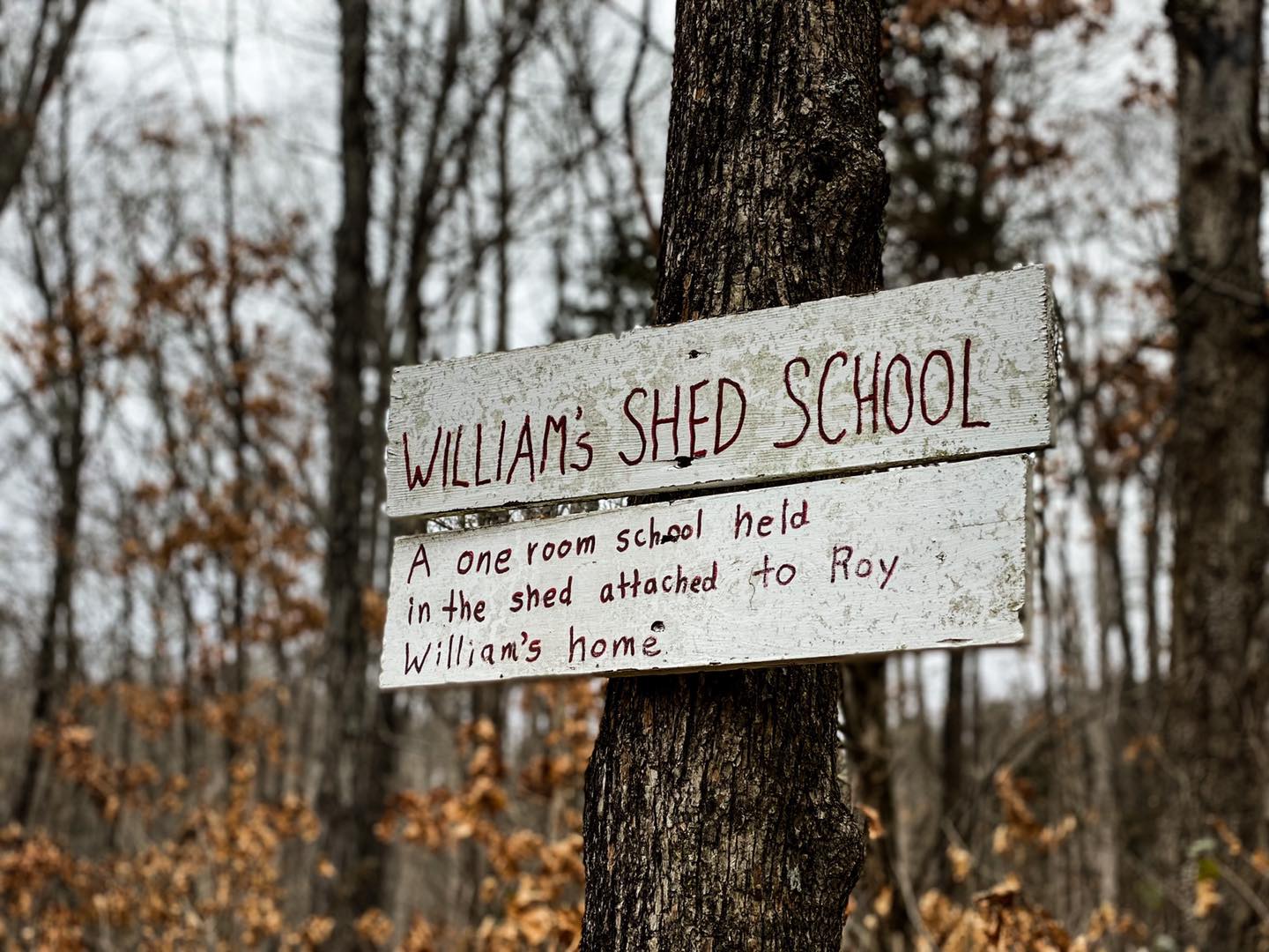 Shawnee National Forest Bear Branch