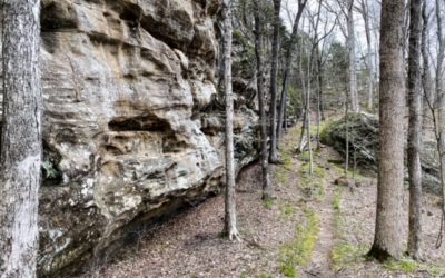 Cove Hollow Trail – Cedar Lake – Shawnee National Forest