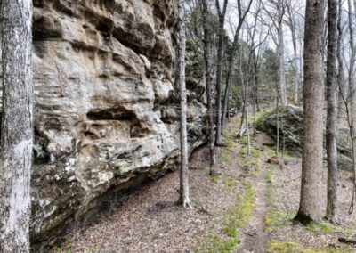 Cove Hollow Trail