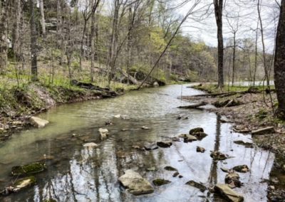 Cove Hollow Trail Cedar Lake