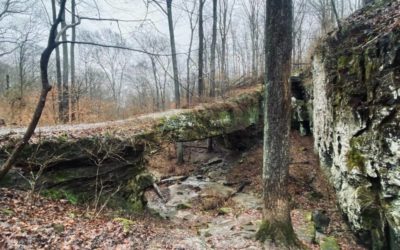 Pomona Natural Bridge Guide – Shawnee National Forest