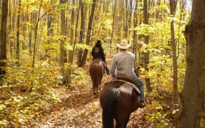 10 Shawnee National Forest Horse Campgrounds to Stay at in 2022