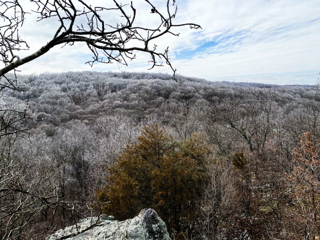 Williams Hill