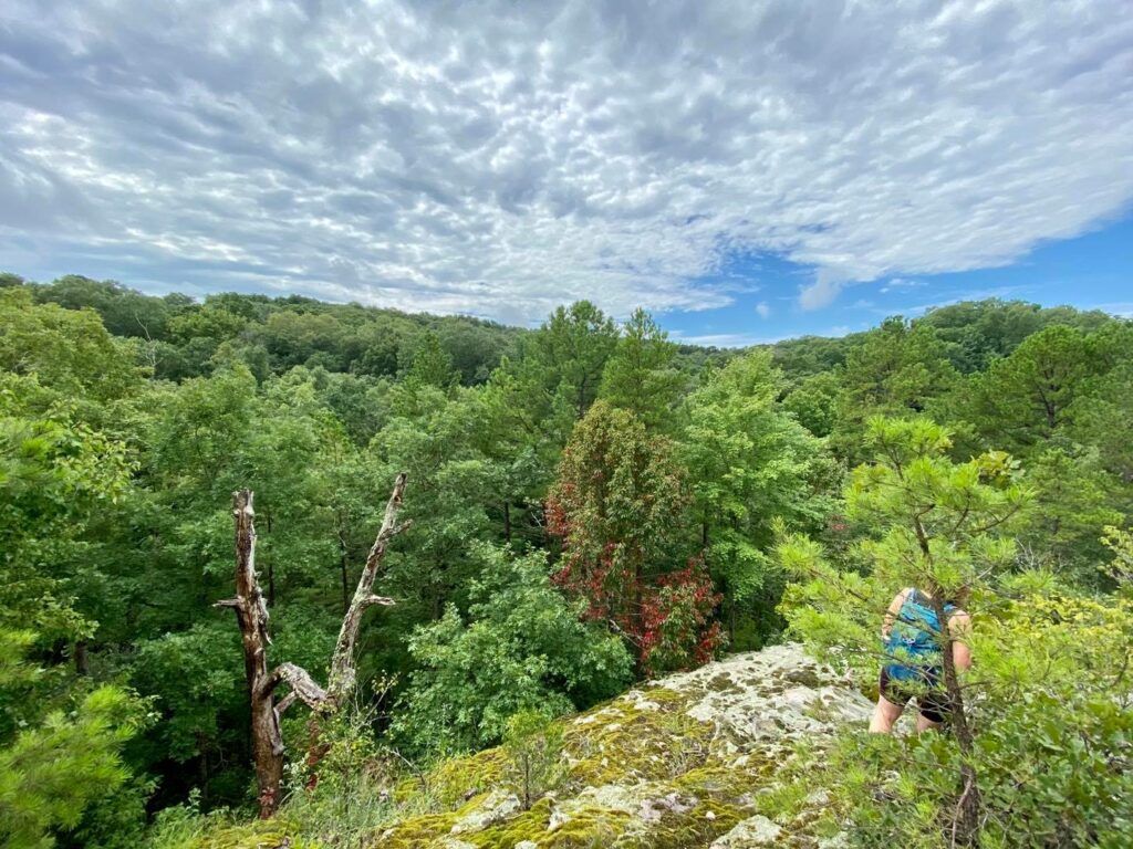 Murray Bluff