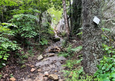 One Horse Gap Trail