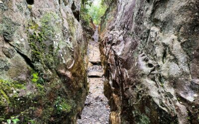 One Horse Gap Hiking Guide – Shawnee National Forest