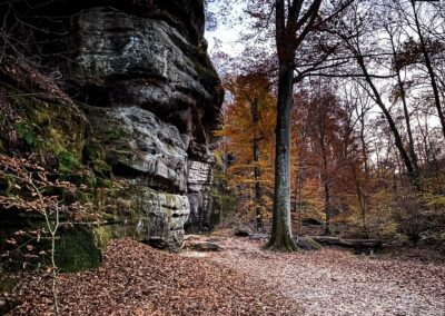 Rim Rock National Recreation Trail Bluffage