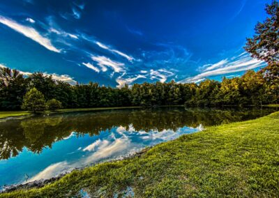 Pond