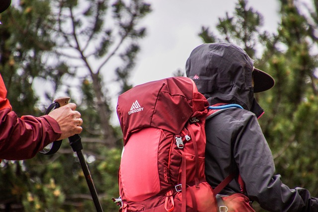 Hiking Gear List: What I Take on My Hikes