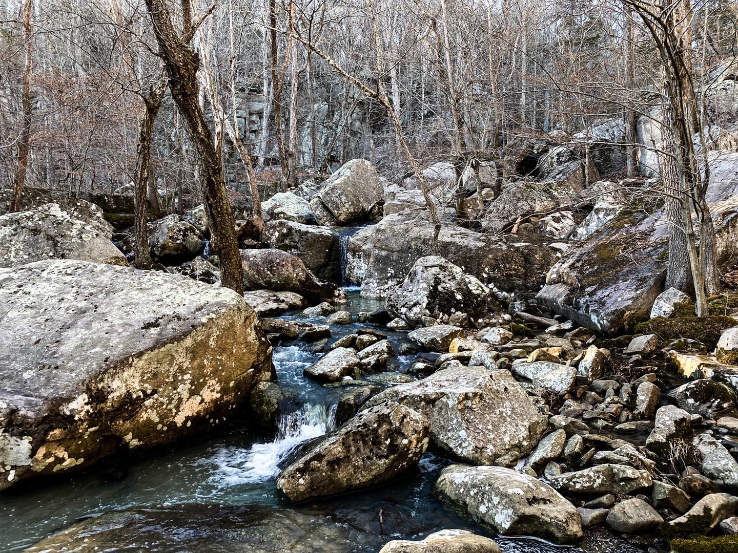 Pine Hollow Cascade