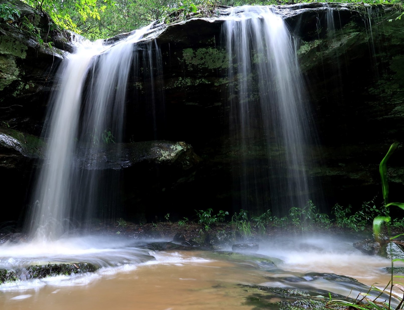 Red Cedar Falls