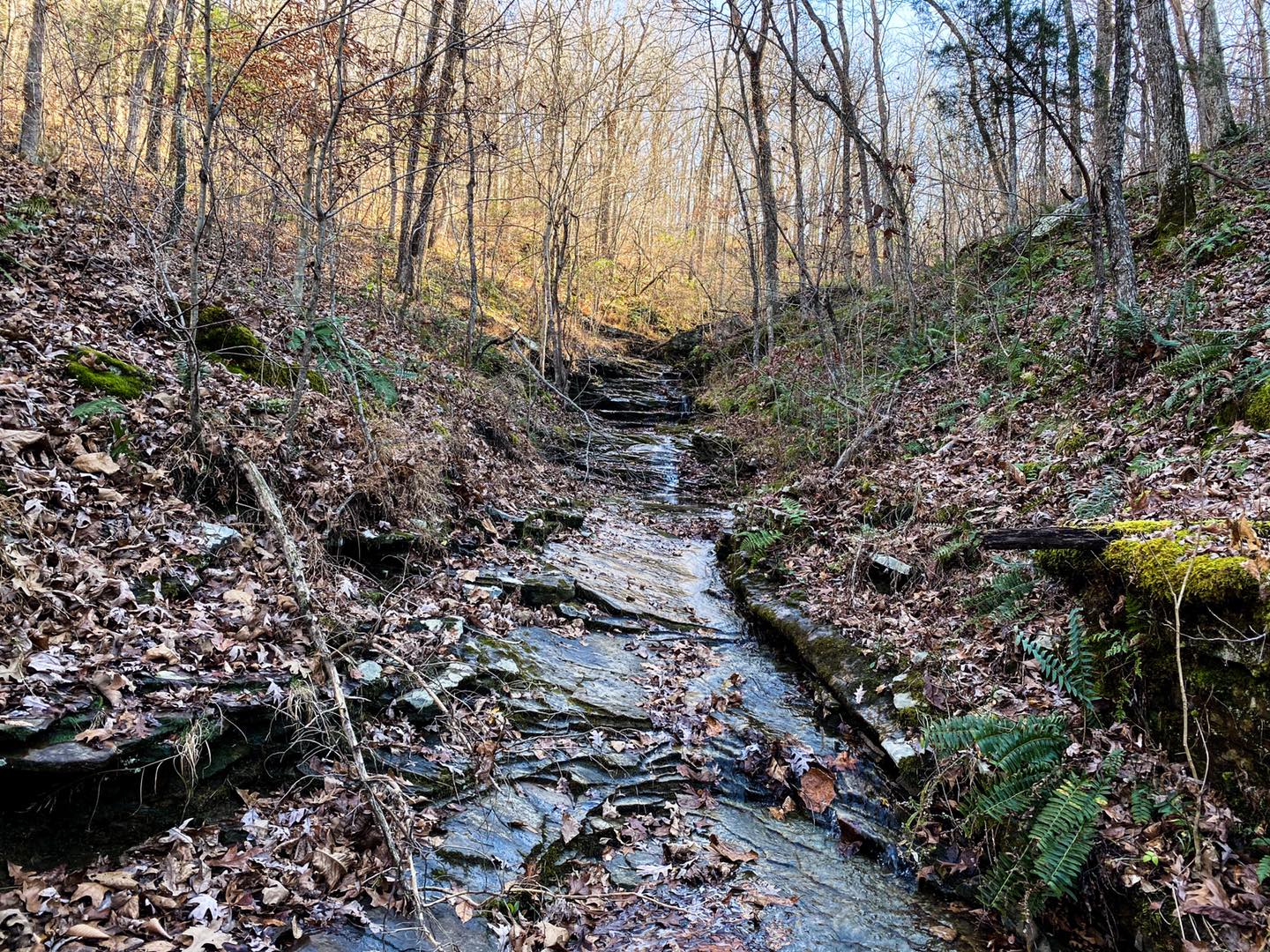 Southern Illinois Waterfalls Rock Creek