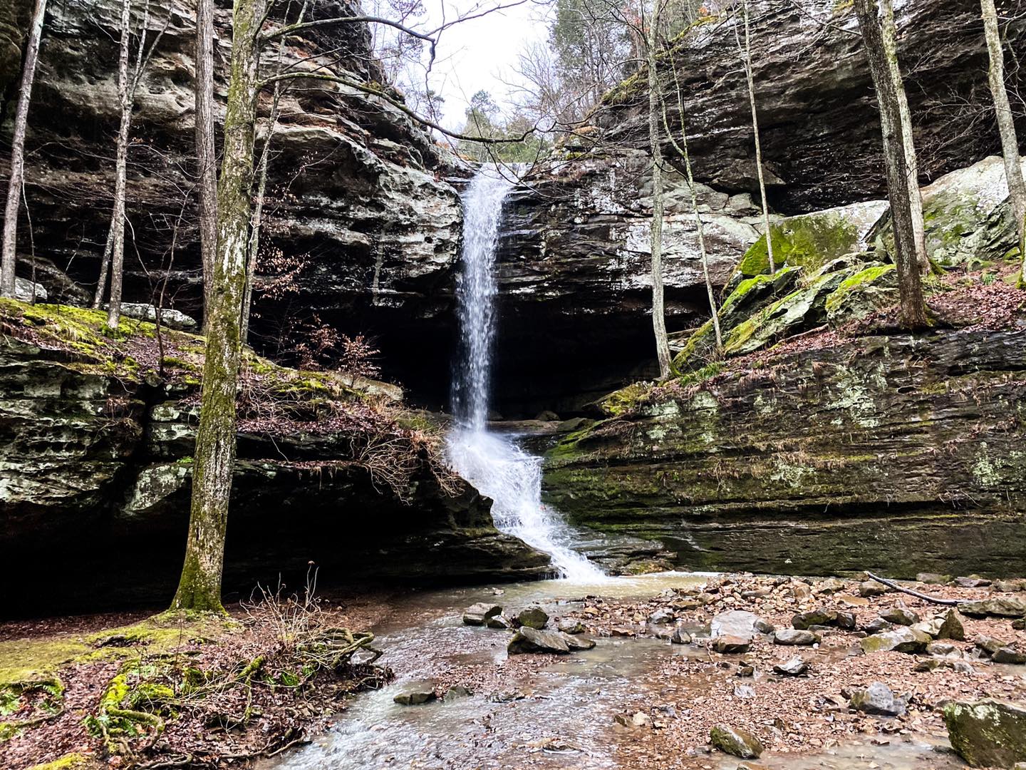 Safety Hiking Trails: Ferne Clyffe