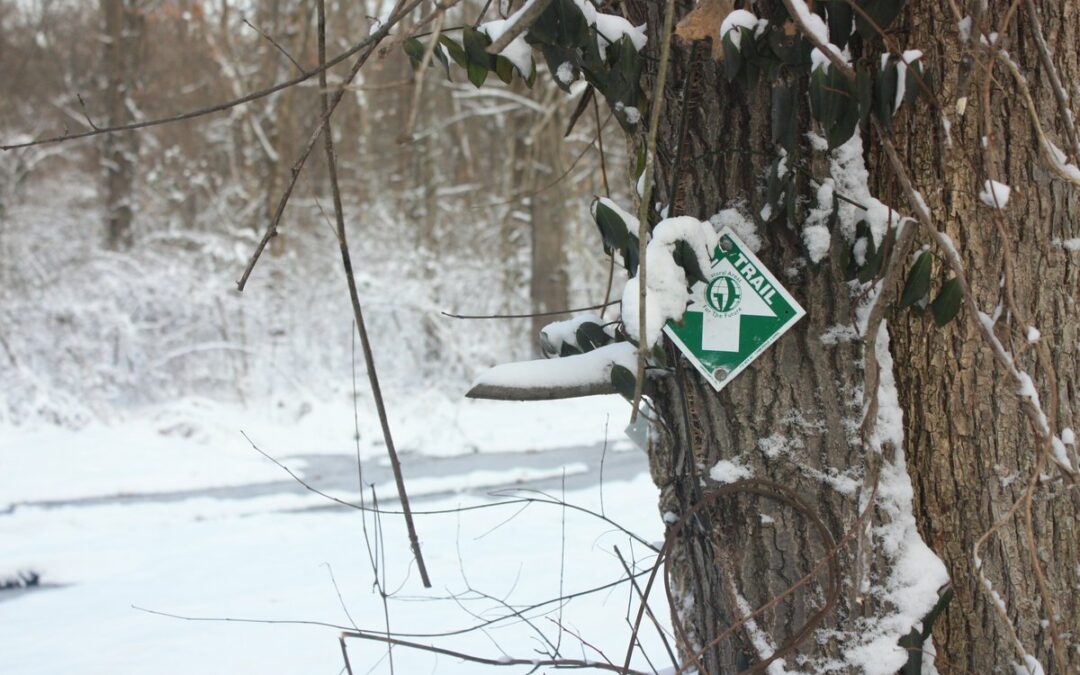 27 Safe Hiking Trails in Southern Illinois during Hunting Season
