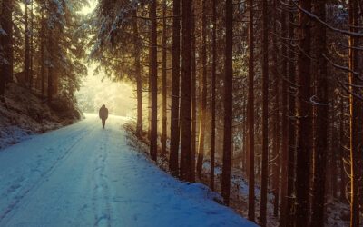 Section Hiking Versus Thru-Hiking