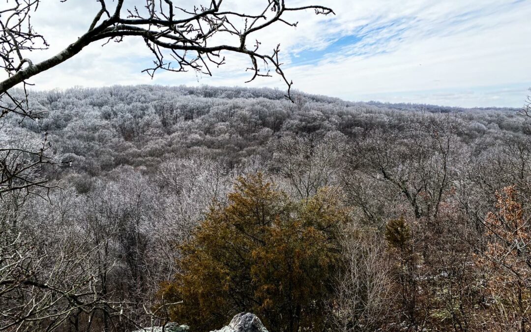 Shawnee National Forest Bushwhacking Guide