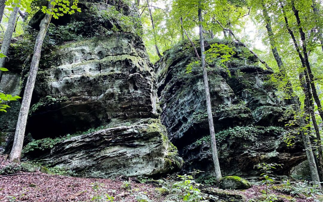 Hiking with Shawn’s 5 Favorite Hiking Trails