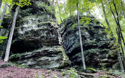 Hiking with Shawn’s 5 Favorite Hiking Trails