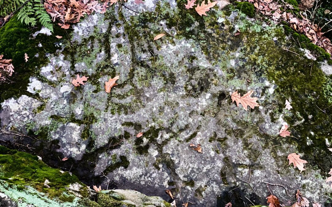 Graffiti on Public Lands