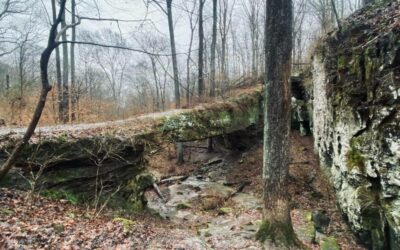 35 Easy Southern Illinois Hikes with A Lot to See