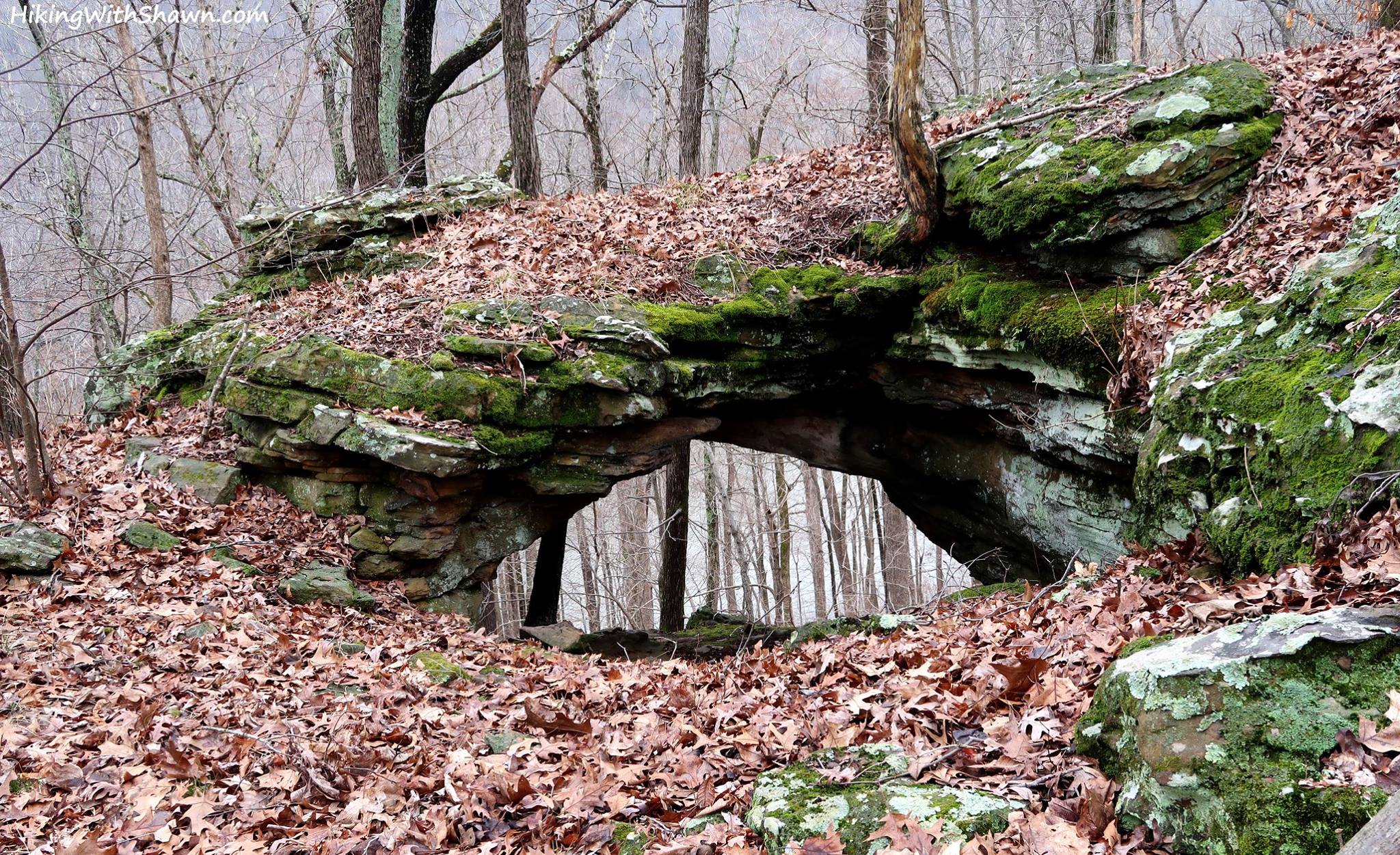 Shawnee Forest Beginner hiking