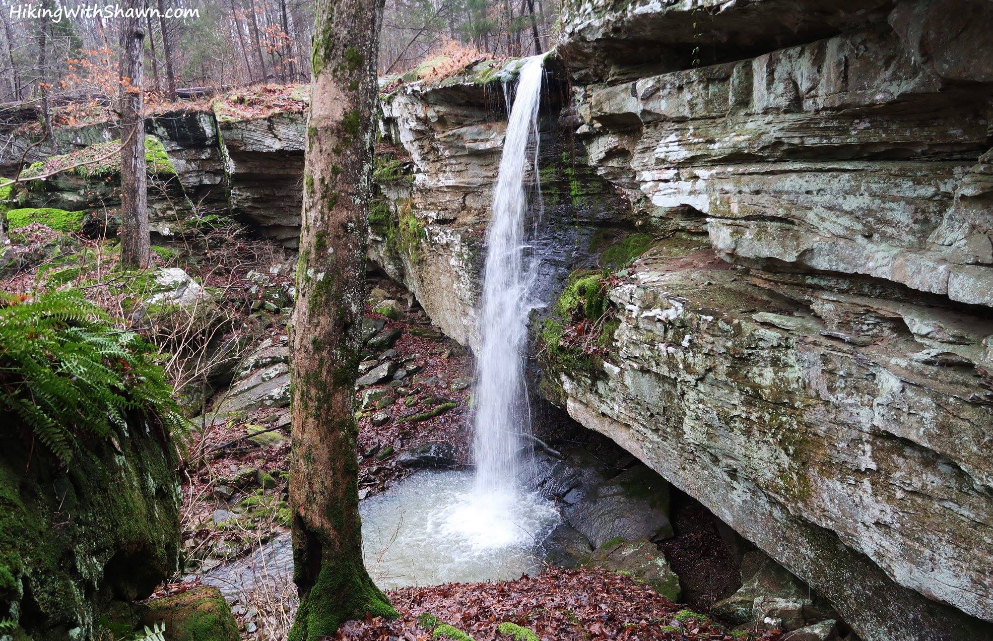 Cedar Creek Wonders