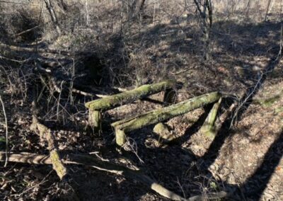 Old Bridge Frame