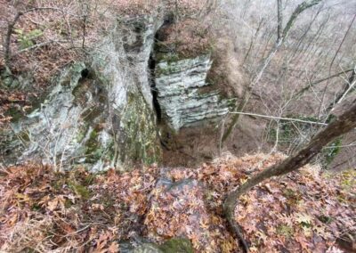 Trail Overlook