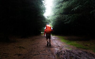 How to Leave The Trail Better Than You Found It
