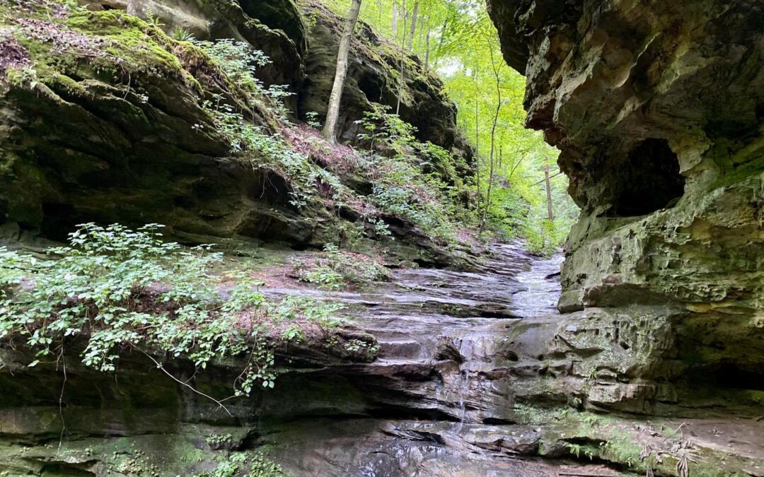 What’s the Best Part of Shawnee National Forest?