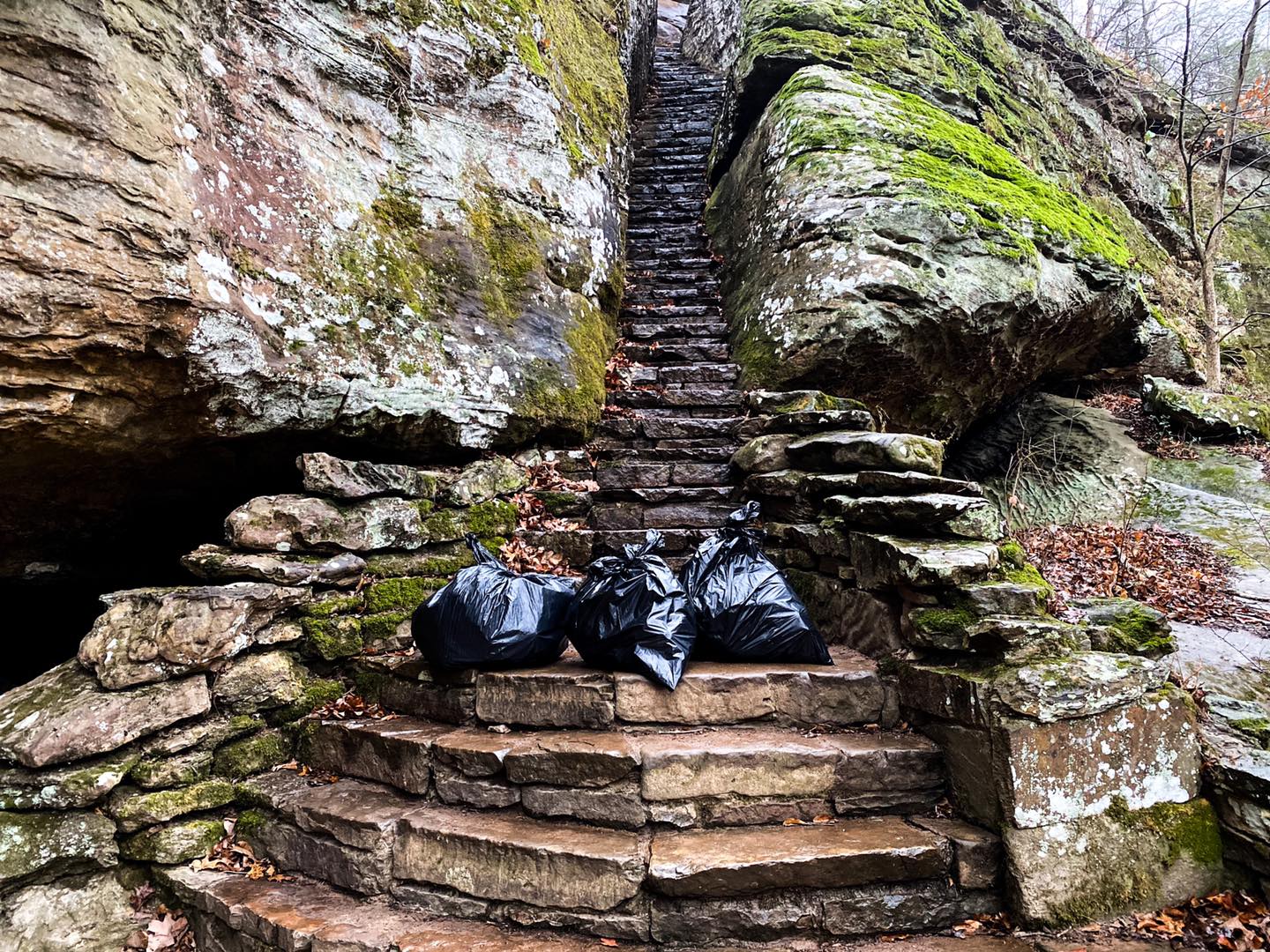 Adopt Your Favorite Trail