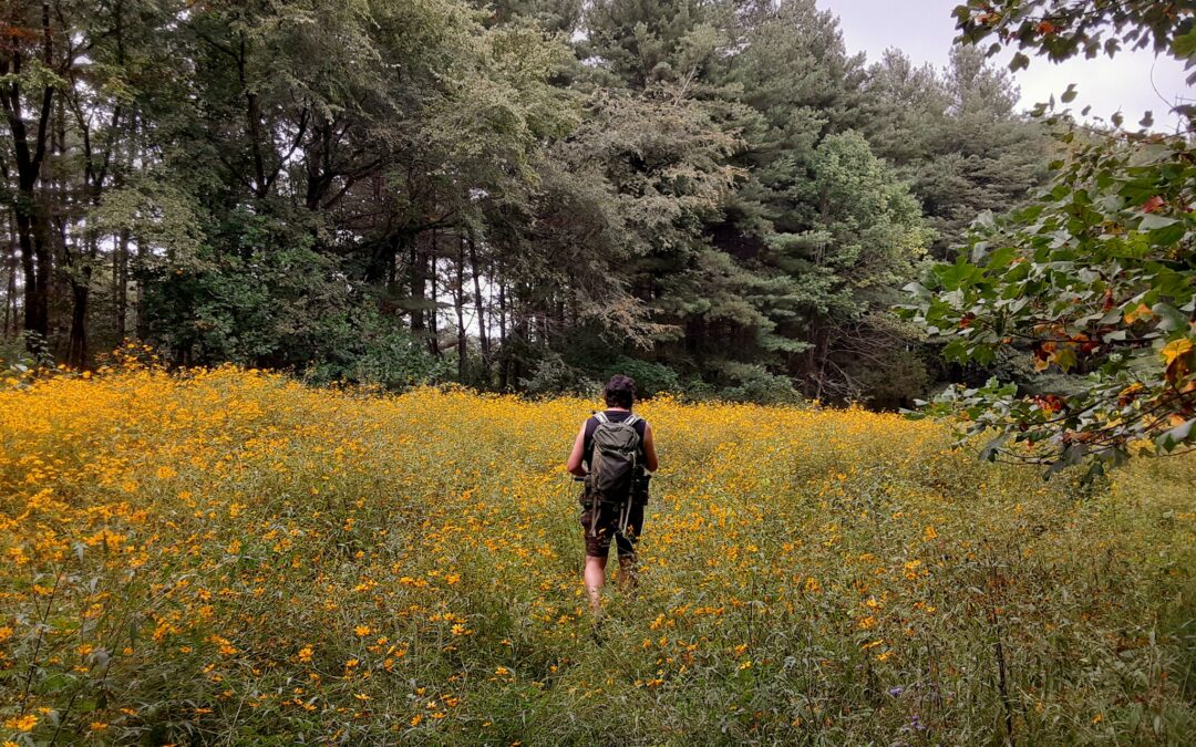 Looking for a Shawnee Forest Hiking Guide?