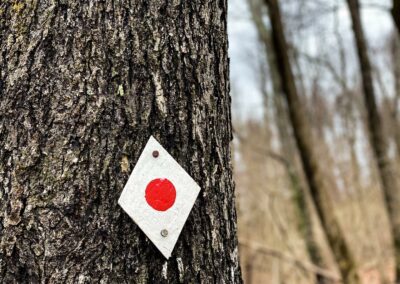 Giant City Red Cedar Trail